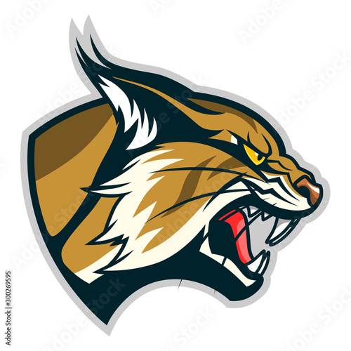 Bobcat head profile