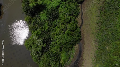 Wallpaper Mural 川の近くの田園風景を空撮 Torontodigital.ca