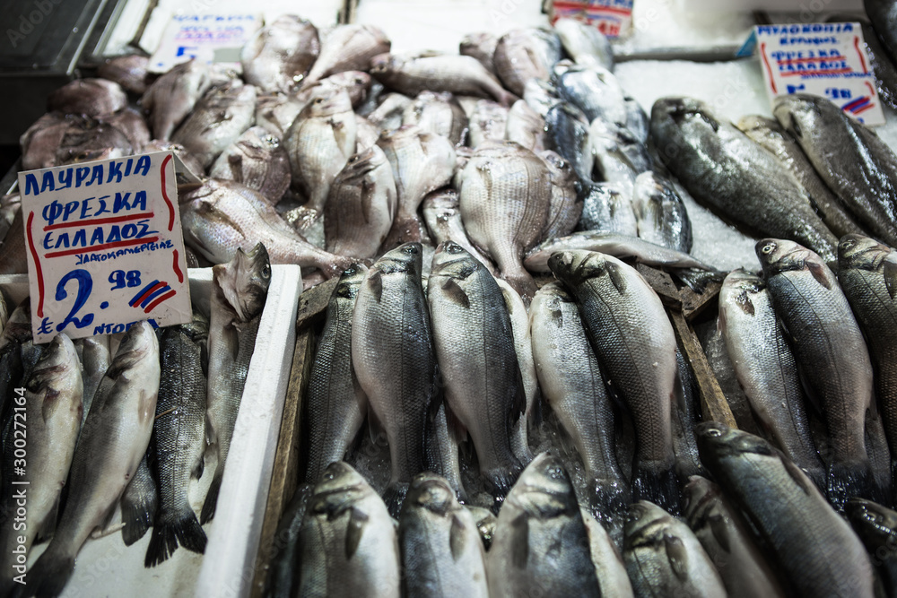 Obraz premium Traditional fish market at Athene town in Greece. Different kind of mediterranean fresh fishes and squid for sale on ice