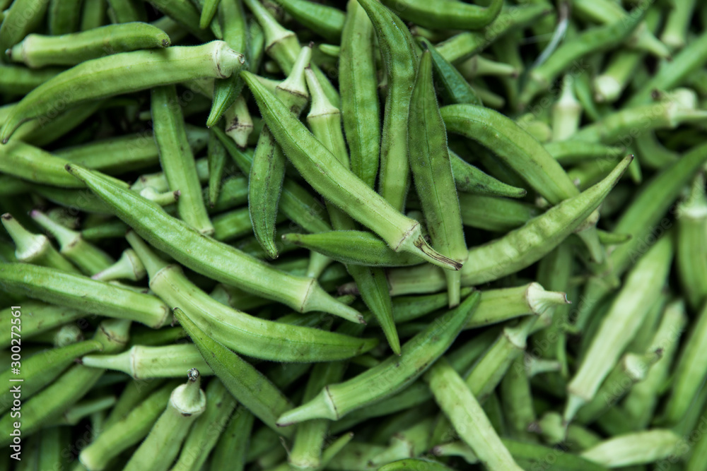 Green Okra textured. Fresh young okra for food, Ochro Gumbo Green Okra textured. Fresh young okra for food, Ochro Gumbo
