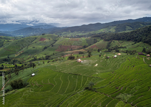 Pabongpiang is landmark of rice terrace in Thailand