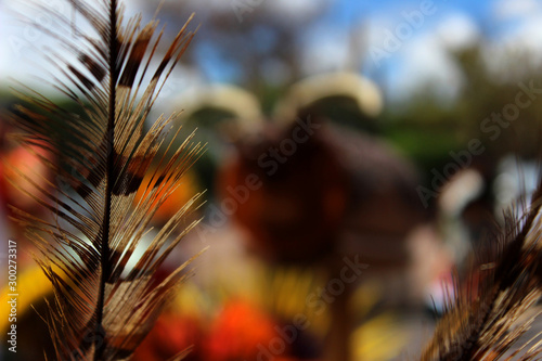 Pluma
