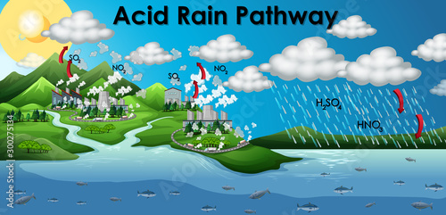 Diagram showing acid rain pathway