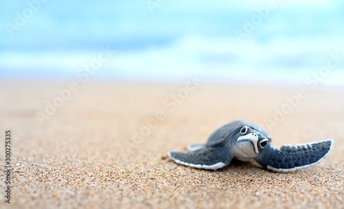 Little turtle on a white beach photo