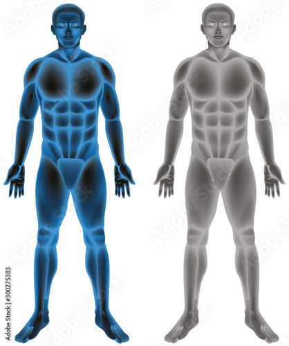 Human body on white background