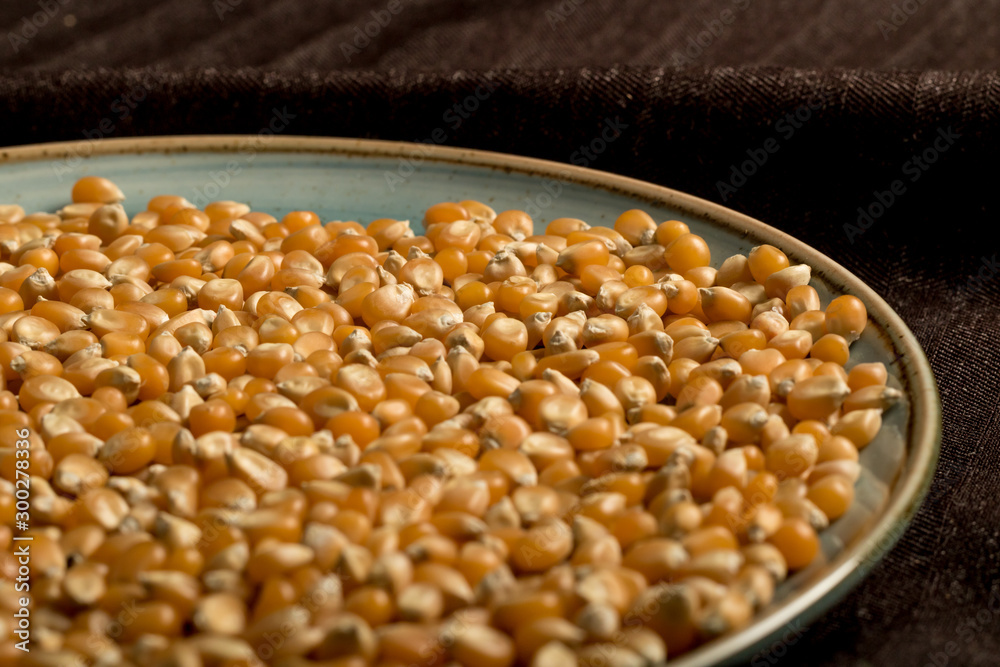 close photo Popcorn seeds on plate close photo Popcorn seeds on plate