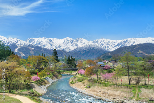 大出公園より白馬岳