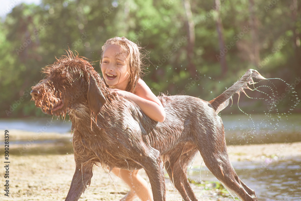 Little girl playing in the river with a dog on a summer sunny day.The ...