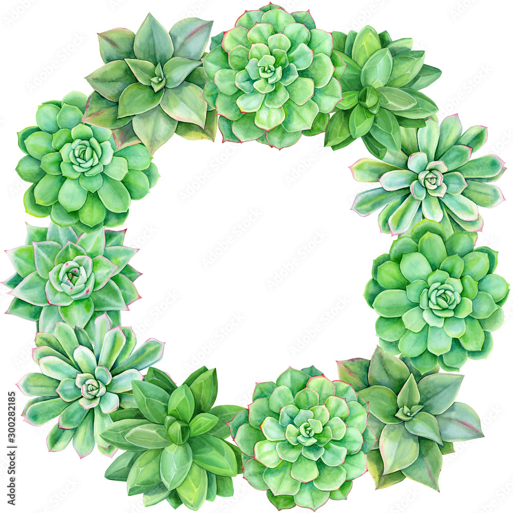 wreath of succulents, cacti on a white background, beautiful plants, watercolor floral design, frame with succulent