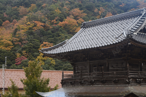 秋色にそまる神社