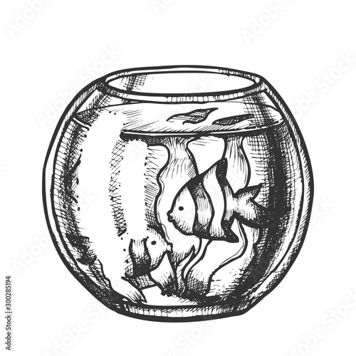 Aquarium With Decorative Fish Monochrome Vector. Home Aquarium Or Fishbowl With Seaweed. Animal Pet Shop Engraving Template Hand Drawn In Vintage Style Black And White Illustration