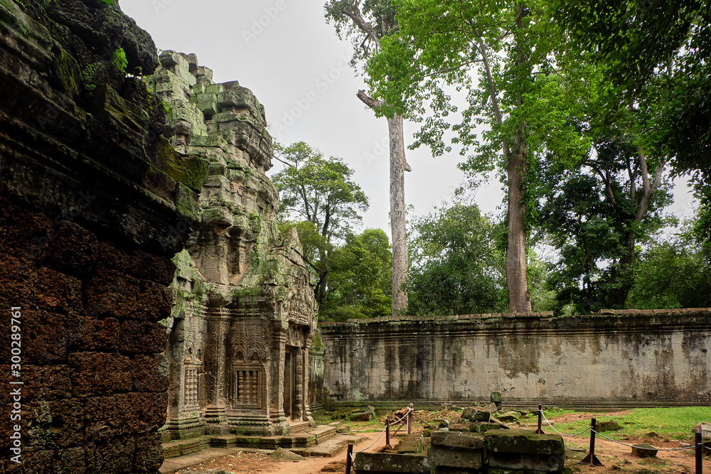 Fototapeta premium temple in Angkor Cambodia
