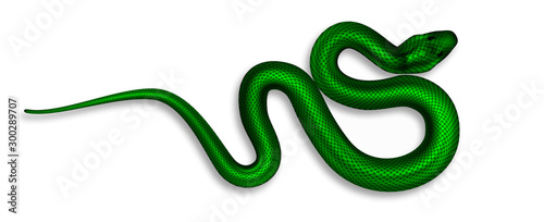 Exotic Snake With Danger Poison Top View Vector. Wild Tropical Green Palm-Pitviper Snake. Crawling Dangerous Venomous Viper. Deadly Vertebrate Reptile Wildlife Realistic 3d Illustration