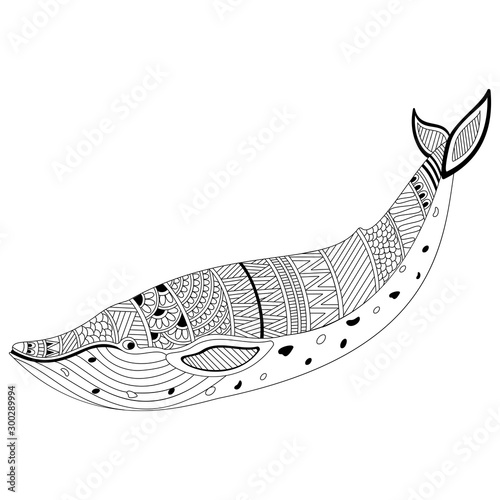 Creative hand drawn doodle illustration of Fish.