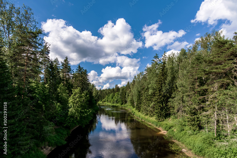 the river plyussa, Pskov oblast, Russia
