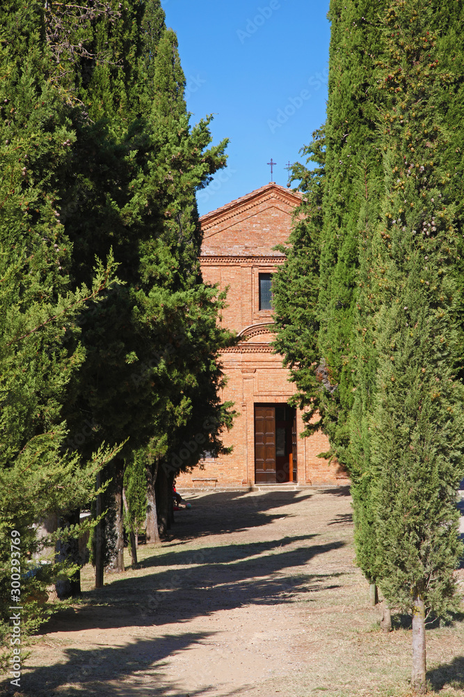 Cypress trees leading to a tiny church, Tuscany