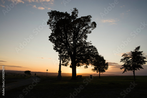 Tree silhouette in sunset with a wayside cross with field and road. Calvary in landscape. Olomouc Czech Republic photo