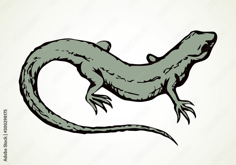Little lizard. Vector drawing icon