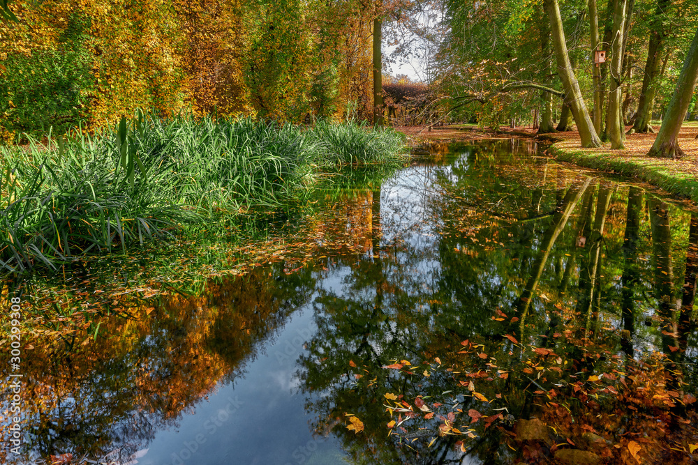Fototapeta Gdansk, Poland, autumn - fragment of the Oliwa Park in the Gdansk Oliwa district