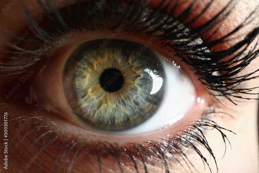 Human green eye supermacro closeup background