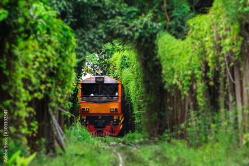 orange train passing through natural tree tunnel
