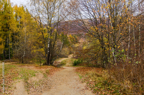 Fototapeta Naklejka Na Ścianę i Meble -  turystyczny szlak bieszczady 