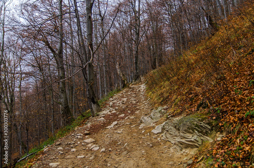 Fototapeta Naklejka Na Ścianę i Meble -  turystyczny szlak bieszczady 