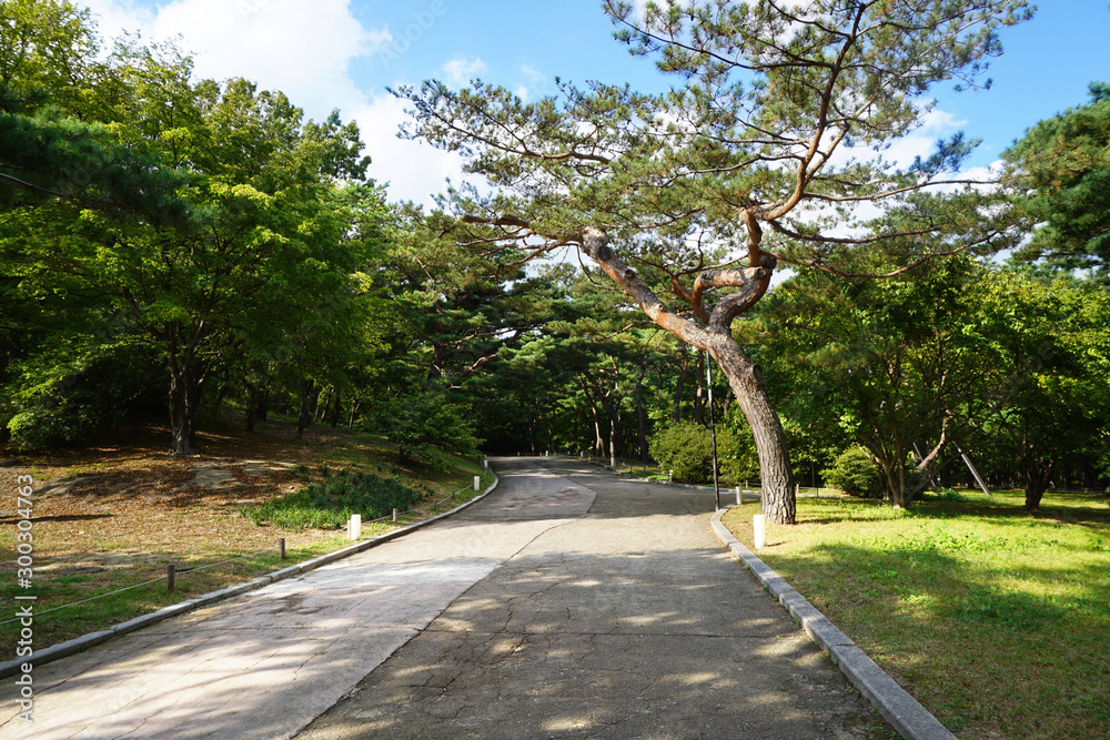 Obraz premium the beautiful scenery of Changdeokgung Palace