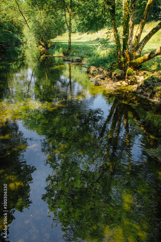 une rivière et reflets d'arbres en été
