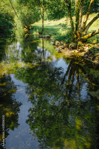Fototapeta Naklejka Na Ścianę i Meble -  une rivière et reflets d'arbres en été