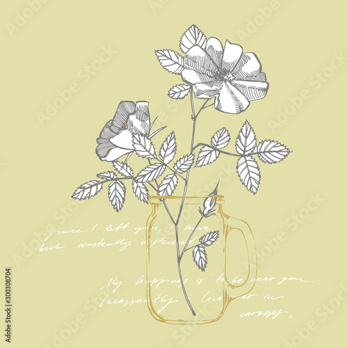 Wild rose flowers drawing and sketch illustrations. Decorative floral set for fabric  textile  wrapping paper  card  invitation  wallpaper  web design. Handwritten abstract text