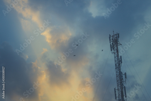 Evening sky Having a bird, going home. It's so beautiful. I love nature.