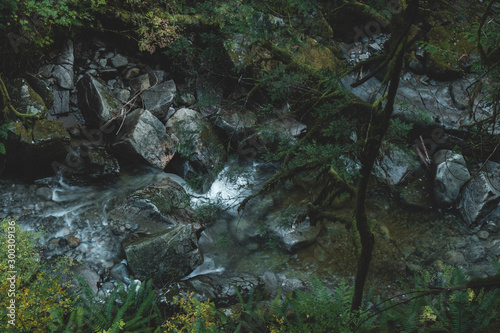 stream in the forest © Aritro