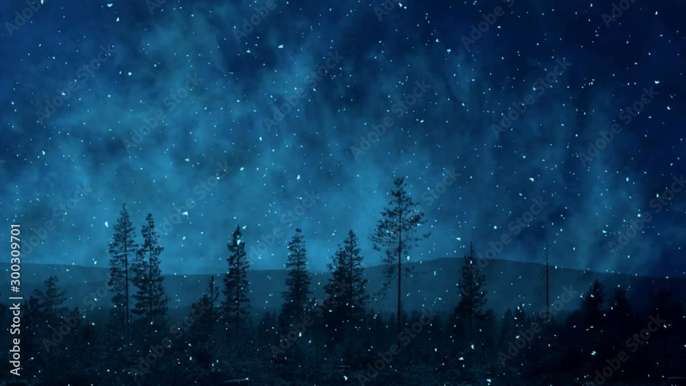 Falling Snow And Dark Night Winter Scenery Falling Snow And Dark Night Winter Scenery