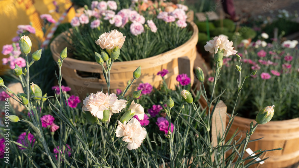 Secchio con fiori