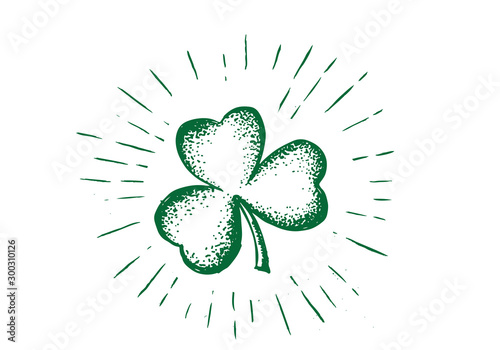 Patrick day. Clover, hand drawn illustration
