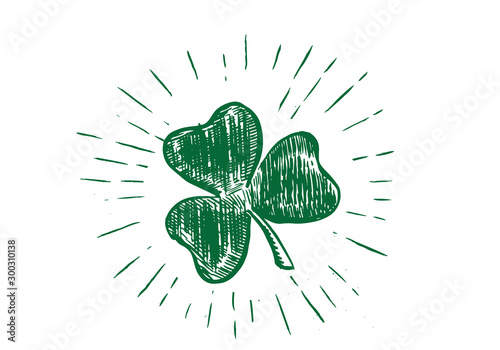 Patrick day. Clover, hand drawn illustration