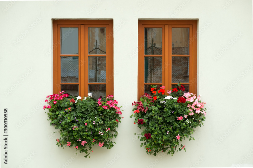 Beautiful windows with flowers in the old town
