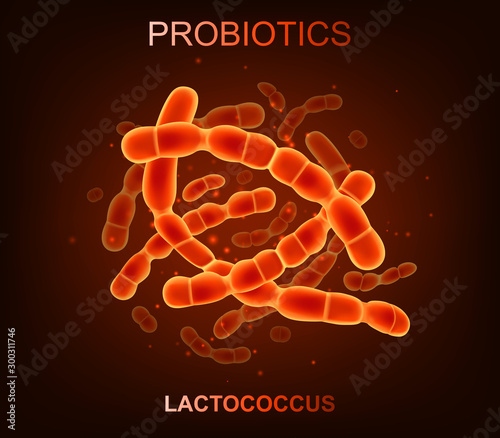 Probiotic bacteria. Good microorganisms concept isolated on black background. Vector realistic lactococcus
