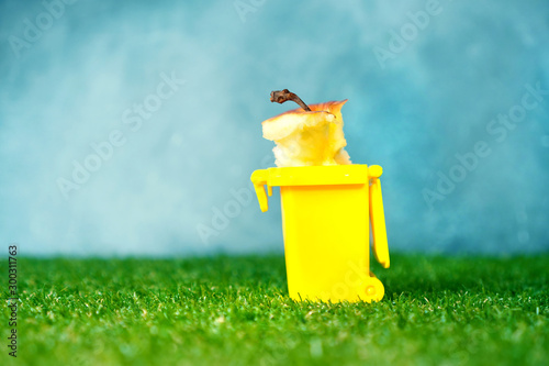 Help keep nature clean and tidy after picnic concept background with little trash can and apple core photo