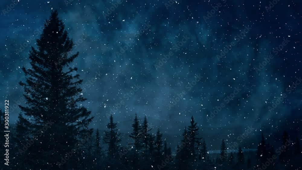 Falling Snow And Dark Night Winter Scenery