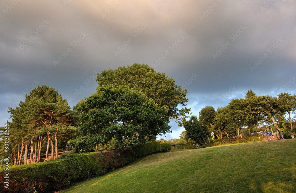 Naklejka premium Evening sunset with trees over English countryside landscape from a hill peak.