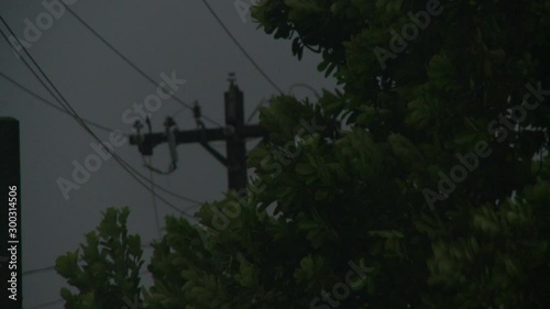 Power Lines Spark In Strong Hurricane Wind photo