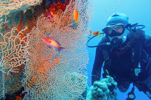Fotografia, Obraz Man scuba diver and beautiful sea fan (gorgonia) coral and red coral fish Anthias close up