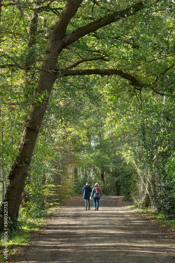 Strolers in nature. Wanderers. Walkers. Reestdal Netherlands Strolers in nature. Wanderers. Walkers. Reestdal Netherlands