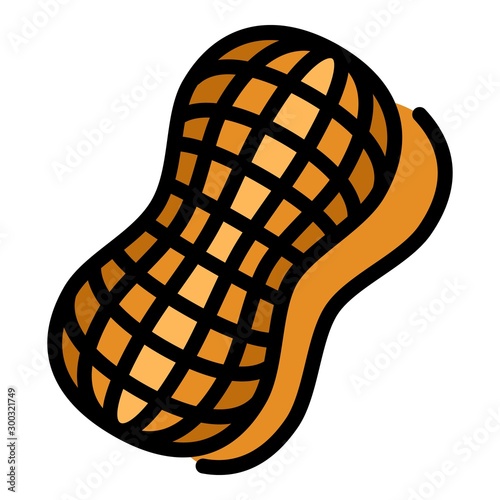 Shell peanut icon. Outline shell peanut vector icon for web design isolated on white background