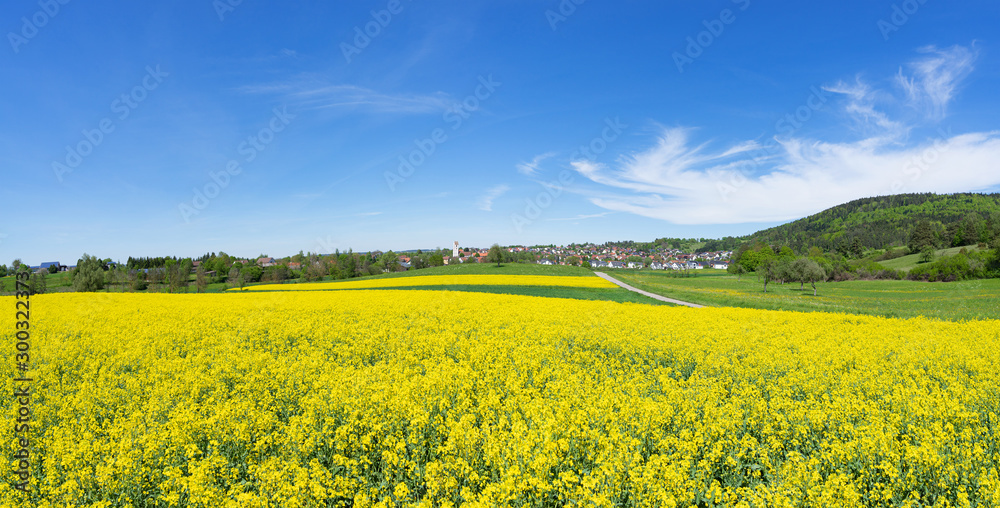 Blühendes Rapsfeld in ländlicher Landschaft mit Dorf in Deutschland - Panorama