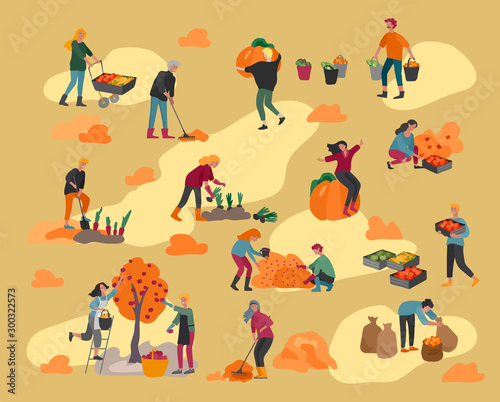 People gathering crops or seasonal harvest, collecting ripe vegetables, picking fruits and berries, remove leaves. Men, women work on a farm. Agricultural workers in autumn. Cartoon vector