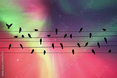 Birds on wires at night. Vector illustration with silhouette of flock of crows sitting on power lines. Northern lights in starry sky. Colorful aurora borealis