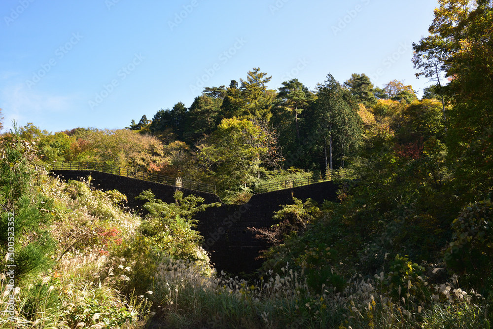 日本の鳥取県の美しい紅葉